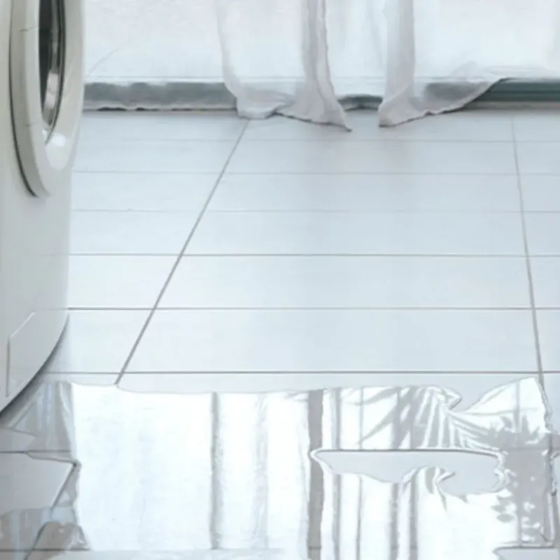 Appliance Leak Cleanup in Rancho Calaveras, CA
