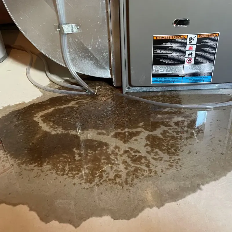 Pipe Burst and Leak Restoration in Rancho Calaveras, CA