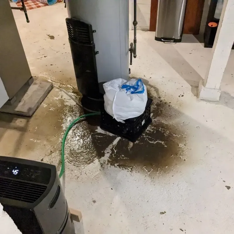 Sewage Backup Cleanup Service in Rancho Calaveras, CA